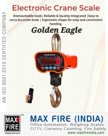 Crane Weighing Scale dealers distributors sellers in Ludhiana Punjab India