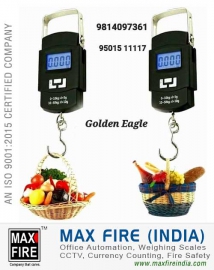 Crane Weighing Scale dealers distributors sellers in Ludhiana Punjab India